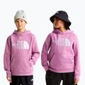 Bluză pentru copii The Noryh Face Essential Drew Peak Hoodie hushed lavender 3