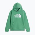Bluză pentru copii The Noryh Face Essential Drew Peak Hoodie dimmed algae