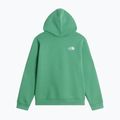 Bluză pentru copii The Noryh Face Essential Drew Peak Hoodie dimmed algae 2