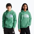 Bluză pentru copii The Noryh Face Essential Drew Peak Hoodie dimmed algae 3