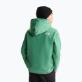 Bluză pentru copii The Noryh Face Essential Drew Peak Hoodie dimmed algae 5