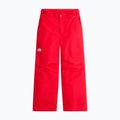 Pantaloni de schi pentru copii The North Face Freedom Insulated elevation red 4