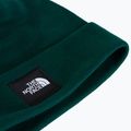 Căciulă de iarnă The North Face Dock Worker Recycled Beanie hunter green 2