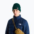 Căciulă de iarnă The North Face Dock Worker Recycled Beanie hunter green 3