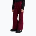 Pantaloni de schi pentru copii The North Face Freedom Insulated burgundy crush