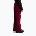 Pantaloni de schi pentru copii The North Face Freedom Insulated burgundy crush 3