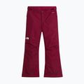 Pantaloni de schi pentru copii The North Face Freedom Insulated burgundy crush 4