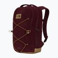 Rucsac de oraș The North Face Jester Pro 28 l deep burgundy/leather bro 2