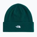 Căciulă de iarnă The North Face Norm Beanie hunter green