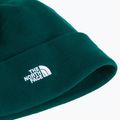 Căciulă de iarnă The North Face Norm Beanie hunter green 2