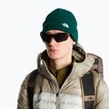 Căciulă de iarnă The North Face Norm Beanie hunter green 3