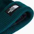 Căciulă de iarnă The North Face Salty Lined pacific teal 2