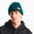 Căciulă de iarnă The North Face Salty Lined pacific teal 3