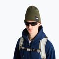 Căciulă de iarnă The North Face Dock Worker Recycled Beanie new taupe green 3