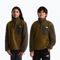 Bluză fleece pentru copii The North Face Yumiori 1/4 Zip caraway seed/ne 3