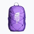 Rucsac de oraș The North Face Court Jester elevation purple