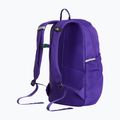 Rucsac de oraș The North Face Court Jester elevation purple 3