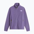 Bluză fleece pentru bărbați The North Face Glacier Fleece grounded plum 5