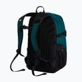 Rucsac de oraș The North Face Borealis Classic pacific teal/restorative 3