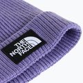 Căciulă de iarnă The North Face Logo Box Cuffed grounded plum 2