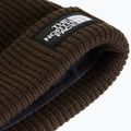 Căciulă de iarnă The North Face Salty Lined dark chestnut 2