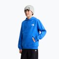 Bluză pentru copii The North Face Evolution Box NSE Pullover Hoodies active blue 5