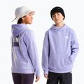 Bluză pentru copii The North Face Evolution Box NSE Pullover Hoodies pale plum