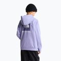 Bluză pentru copii The North Face Evolution Box NSE Pullover Hoodies pale plum 5