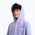 Bluză pentru copii The North Face Evolution Box NSE Pullover Hoodies pale plum 6
