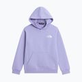 Bluză pentru copii The North Face Evolution Box NSE Pullover Hoodies pale plum 7