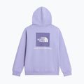 Bluză pentru copii The North Face Evolution Box NSE Pullover Hoodies pale plum 8