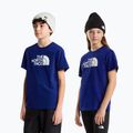 Tricou pentru copii The North Face Evolution Half Dome SS Tee bold blue 3