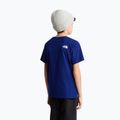 Tricou pentru copii The North Face Evolution Half Dome SS Tee bold blue 5