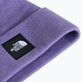 Căciulă de iarnă The North Face Dock Worker Recycled Beanie grounded plum 2