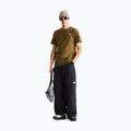 Tricou pentru bărbați The North Face Evolution Simple Dome Regular SS caraway seed 2