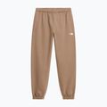 Pantaloni pentru femei The North Face Evolution Simple Dome Regular garnet 4
