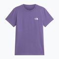 Tricou pentru femei The North Face Evolution Simple Dome Slim SS grounded plum 4
