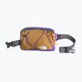 Borsetă The North Face Terra Lumbar 1 l utility brown/peak purple