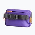 Borsetă The North Face Terra Lumbar 1 l utility brown/peak purple 3