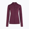 Bluză de trekking pentru femei Icebreaker Merino 300 Realfleece Descender Zip Hoodie dark berry 11