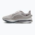 Încălțăminte de alergare pentru bărbați Nike Pegasus Premium vast grey/off white/light smoke grey 9