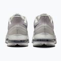 Încălțăminte de alergare pentru bărbați Nike Pegasus Premium vast grey/off white/light smoke grey 11