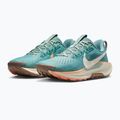 Încălțăminte de alergare pentru femei Nike Pegasus Trail 5 cannon / soft pearl / mink brown 3