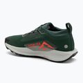 Încălțăminte de alergare pentru bărbați Nike Pegasus Trail 5 GORE-TEX fir/bright crimson/clay green 3