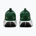 Încălțăminte de alergare pentru bărbați Nike Pegasus Trail 5 GORE-TEX fir/bright crimson/clay green 6