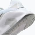 Încălțăminte de antrenament pentru femei Nike Flex Train white/photon dust/metallic silver 9