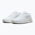 Încălțăminte de antrenament pentru bărbați Nike Flex Train white/photon dust/white 10