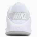 Încălțăminte de antrenament pentru femei Nike Flex Train white/photon dust/metallic silver 6
