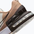 Încălțăminte de antrenament pentru bărbați Nike Air Max Alpha Trainer 6 sail/baroque brown/hemp/desert dust 9