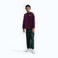 Bluză pentru copii Nike Sportswear Club Fleece burgundy/white 3
